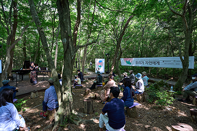 자작나무숲 힐링 콘서트