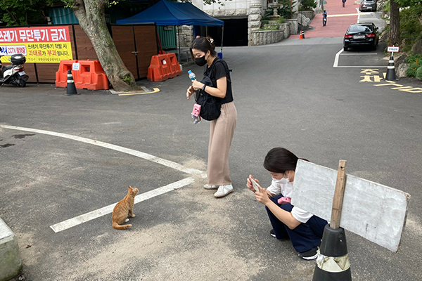 동네에서 일상포착 ⓒ 앤컴퍼니